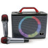 WinBridge T8 Ultra-Portable Karaoke Speaker with Dual Wireless Microphones Bluetooth