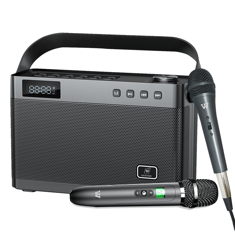 WinBridge T9 Portable PA System Karaoke Machine 40 Watt With Wirereless Microphone