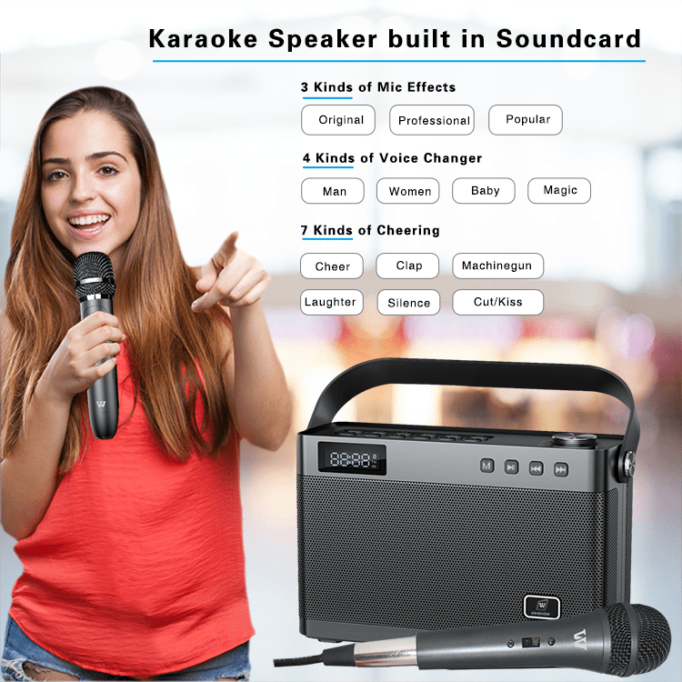 WinBridge T9 Portable PA System Karaoke Machine 40 Watt With Wirereless Microphone