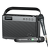 WinBridge T9 Portable PA System Karaoke Machine 40 Watt With Wirereless Microphone
